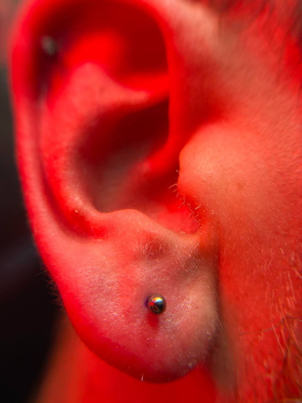 Piercing Earlobe